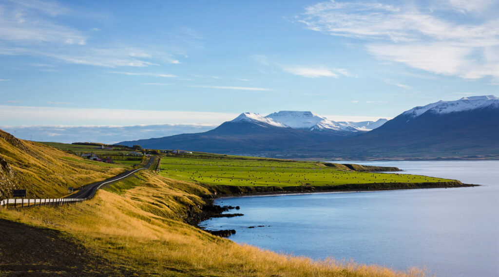 Tour 1 Iceland 8