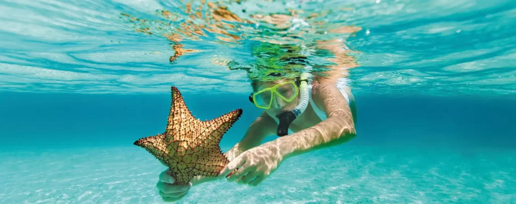 Makadi Bay Excursion Snorkeling Trip