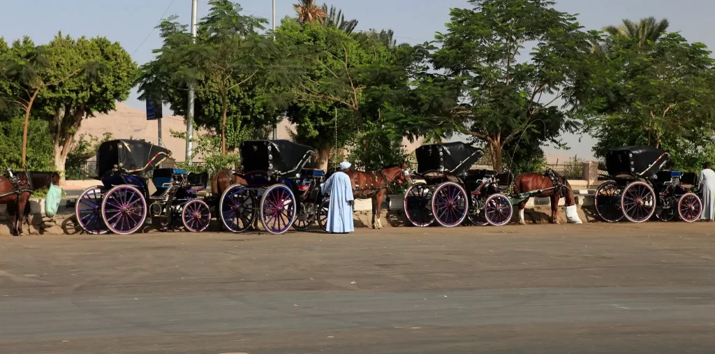 Luxor Horse Carriage Trip